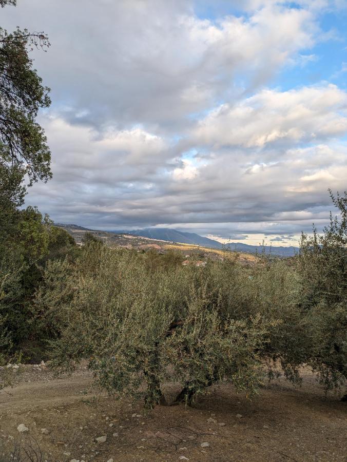 One Life Malaga Retreat Hotel Periana Екстериор снимка